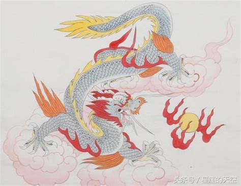 1976年是什麼龍